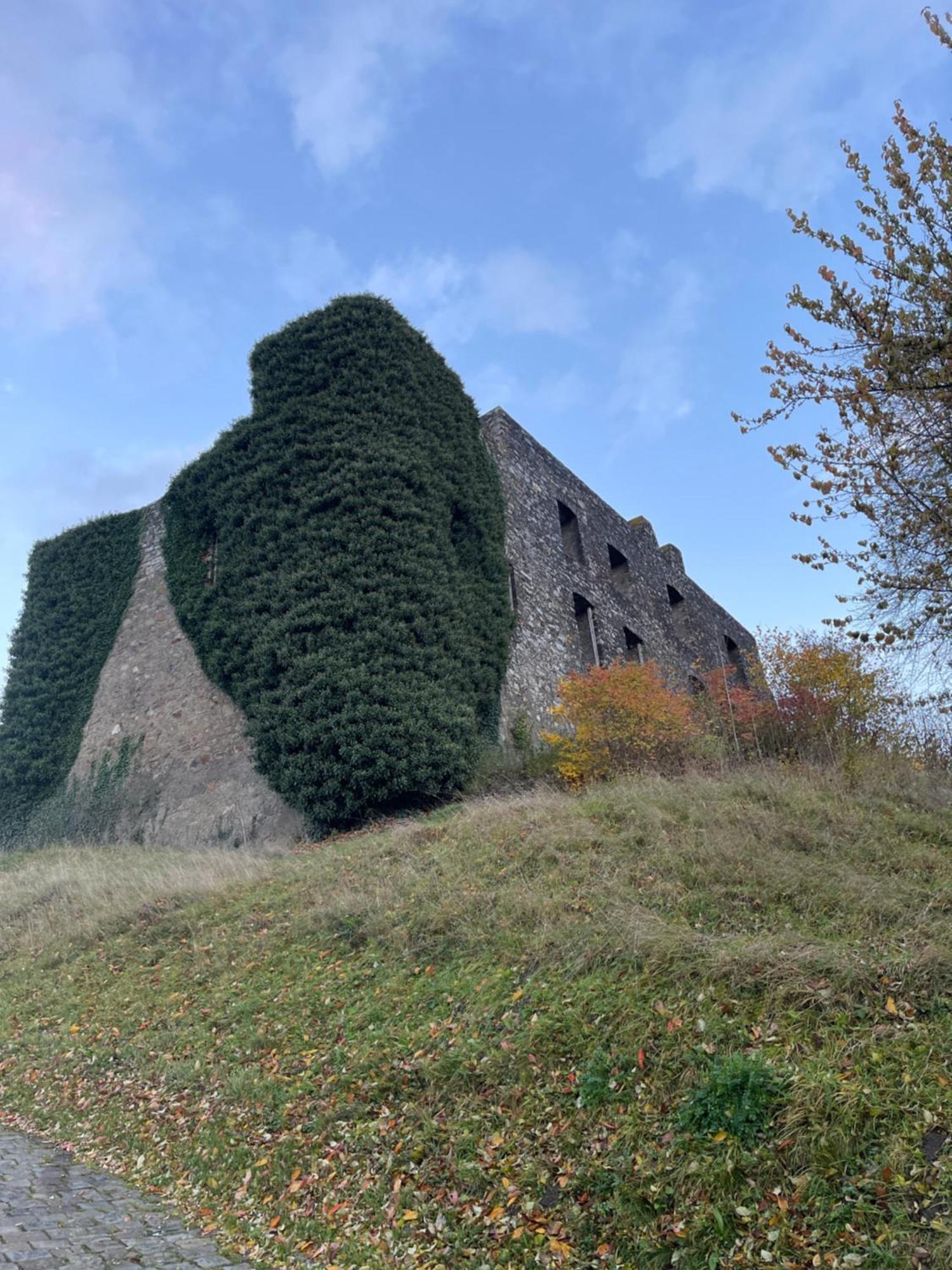 Ritterstube - Eifelstuben Mit Charme, Naehe See Und Burg, Aussergewoehnlich, Vulkaneifel Ulmen Екстериор снимка