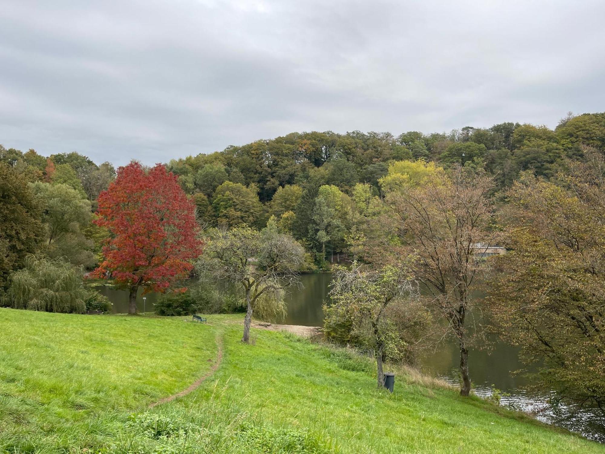 Ritterstube - Eifelstuben Mit Charme, Naehe See Und Burg, Aussergewoehnlich, Vulkaneifel Ulmen Екстериор снимка