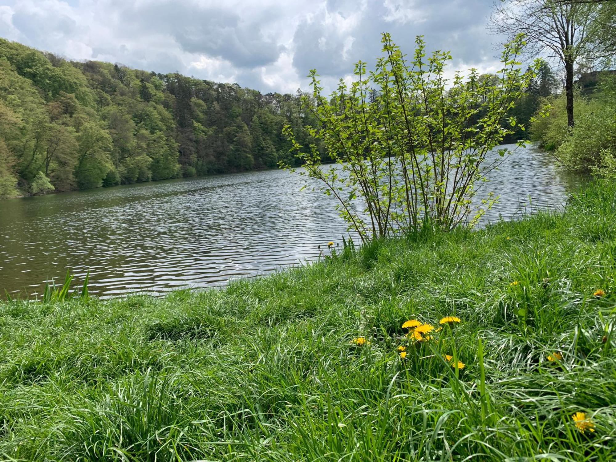 Ritterstube - Eifelstuben Mit Charme, Naehe See Und Burg, Aussergewoehnlich, Vulkaneifel Ulmen Екстериор снимка